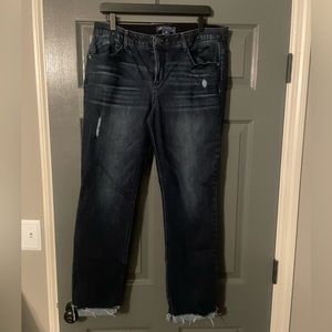 Democracy Absolution Jeans